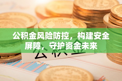 桑日公积金风险防控，构建安全屏障，守护资金未来