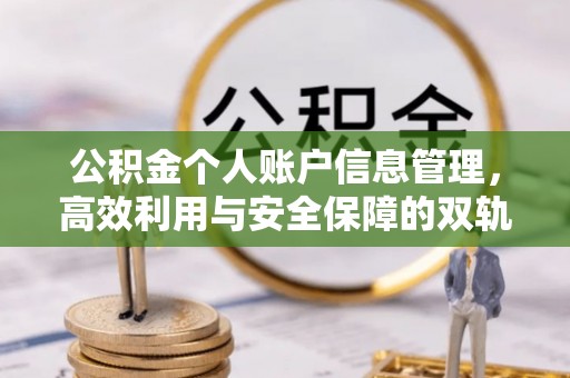 桑日公积金个人账户信息管理，高效利用与安全保障的双轨并行