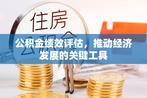 桑日公积金绩效评估，推动经济发展的关键工具