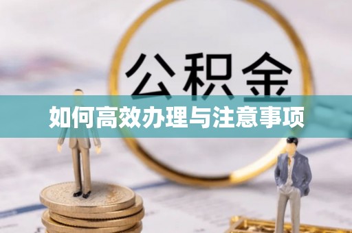 桑日如何高效办理与注意事项