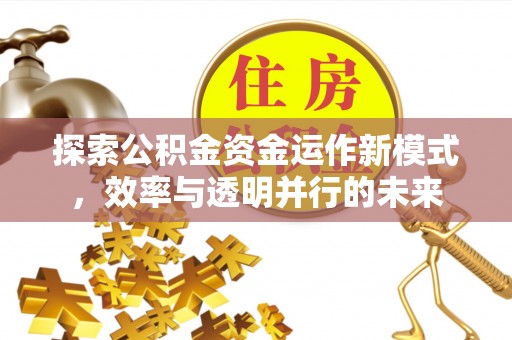 桑日探索公积金资金运作新模式，效率与透明并行的未来
