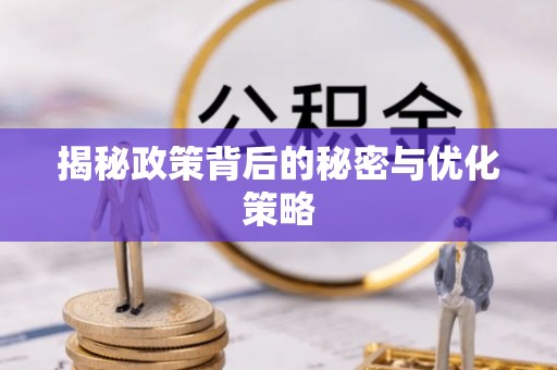 桑日揭秘政策背后的秘密与优化策略