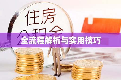 桑日全流程解析与实用技巧