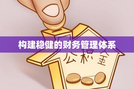 桑日构建稳健的财务管理体系