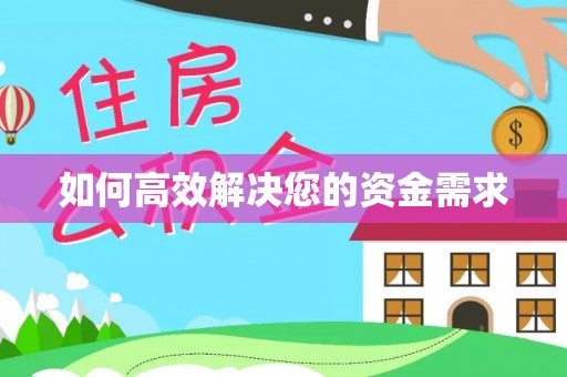 桑日如何高效解决您的资金需求