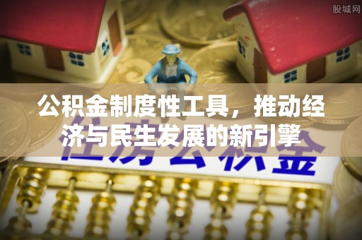 桑日公积金制度性工具，推动经济与民生发展的新引擎