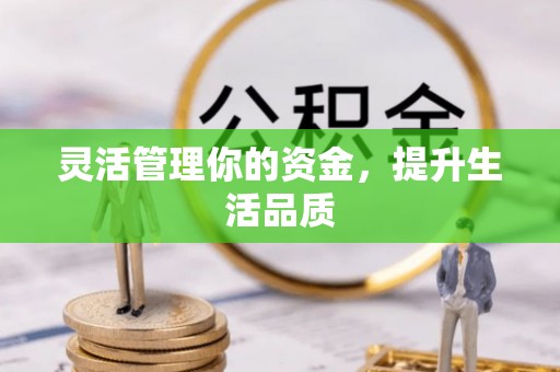 桑日灵活管理你的资金，提升生活品质
