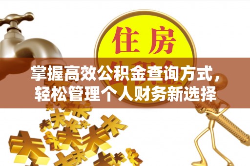 桑日掌握高效公积金查询方式，轻松管理个人财务新选择