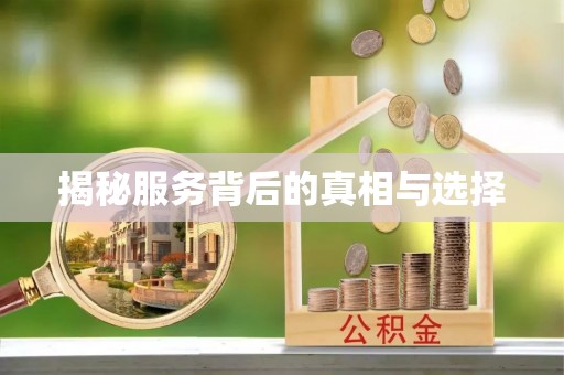 桑日揭秘服务背后的真相与选择
