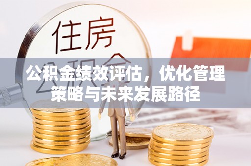 桑日公积金绩效评估，优化管理策略与未来发展路径