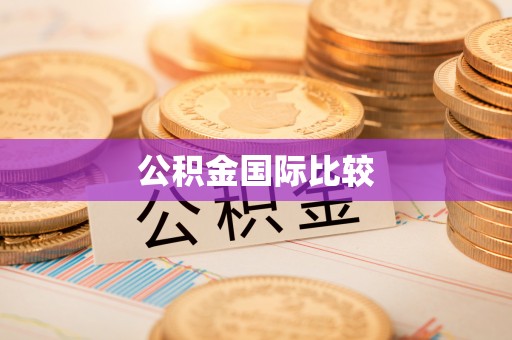 桑日公积金国际比较
