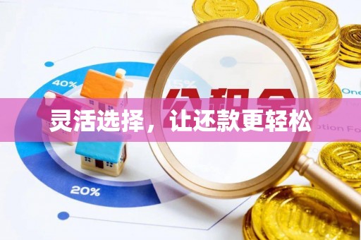桑日灵活选择，让还款更轻松