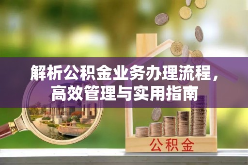 桑日解析公积金业务办理流程，高效管理与实用指南