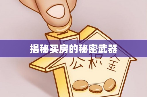桑日揭秘买房的秘密武器