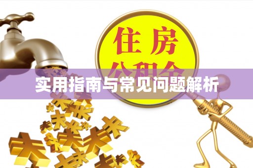 桑日实用指南与常见问题解析