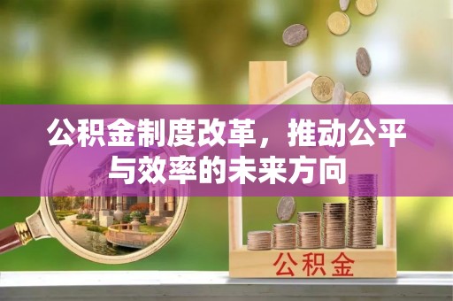 桑日公积金制度改革，推动公平与效率的未来方向