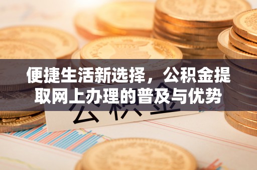 桑日便捷生活新选择，公积金提取网上办理的普及与优势