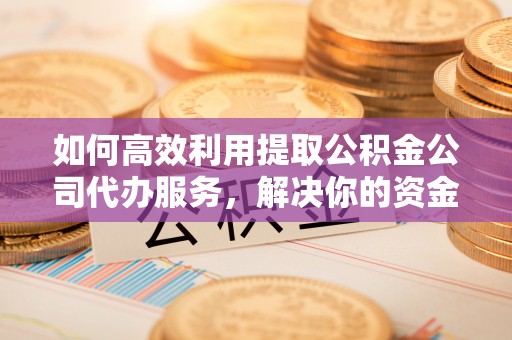 桑日如何高效利用提取公积金公司代办服务，解决你的资金难题