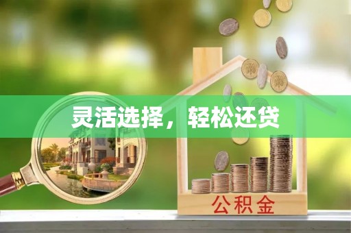 桑日灵活选择，轻松还贷