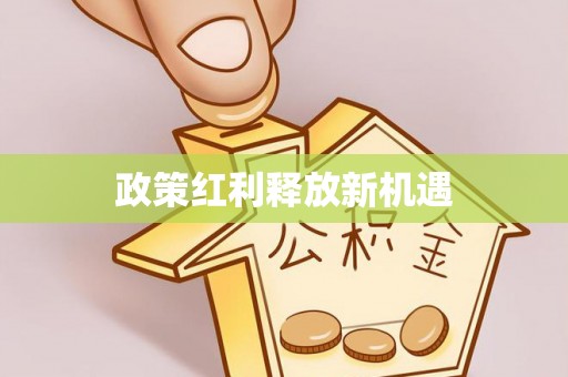 桑日政策红利释放新机遇