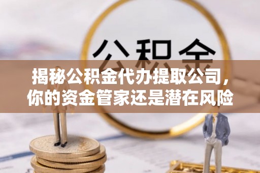 桑日揭秘公积金代办提取公司，你的资金管家还是潜在风险？