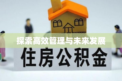 桑日探索高效管理与未来发展