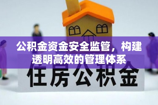 桑日公积金资金安全监管，构建透明高效的管理体系