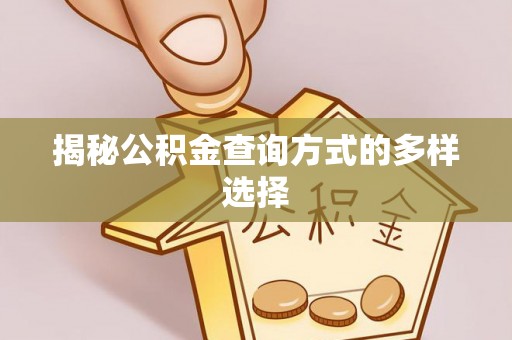 桑日揭秘公积金查询方式的多样选择