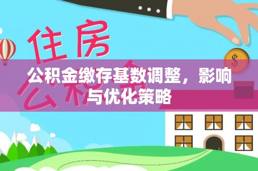 桑日公积金缴存基数调整，影响与优化策略