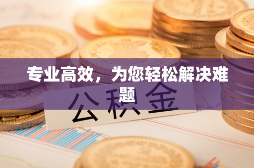 桑日专业高效，为您轻松解决难题