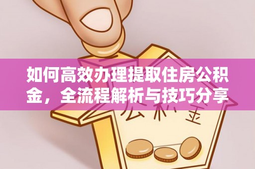 桑日如何高效办理提取住房公积金，全流程解析与技巧分享