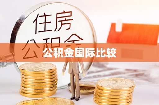 桑日公积金国际比较