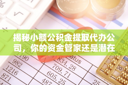 桑日揭秘小额公积金提取代办公司，你的资金管家还是潜在风险？