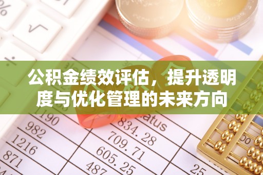 桑日公积金绩效评估，提升透明度与优化管理的未来方向