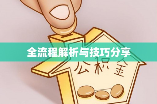 桑日全流程解析与技巧分享