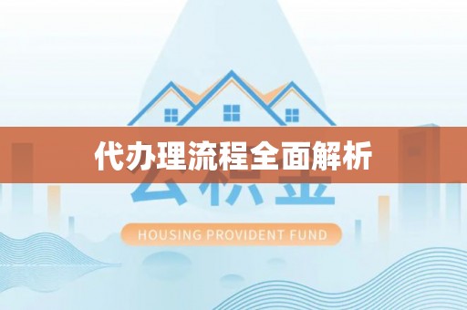 桑日代办理流程全面解析