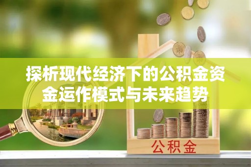 桑日探析现代经济下的公积金资金运作模式与未来趋势
