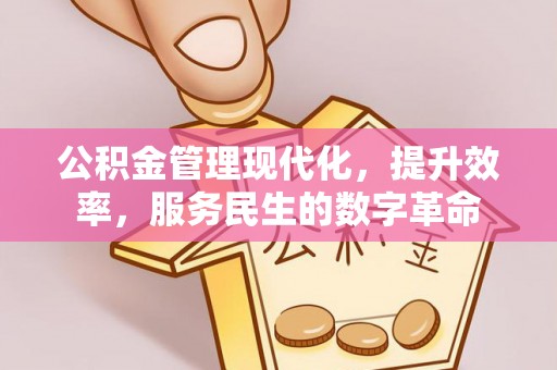 桑日公积金管理现代化，提升效率，服务民生的数字革命