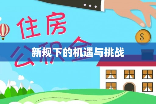 桑日新规下的机遇与挑战