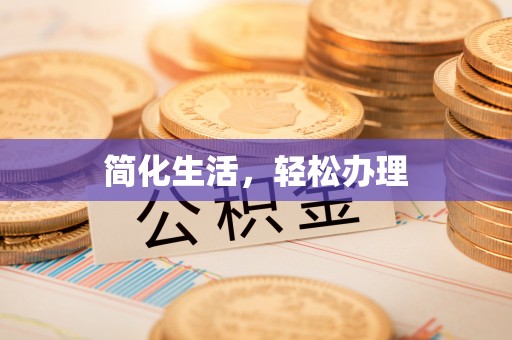 桑日简化生活，轻松办理