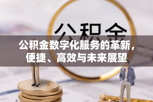 桑日公积金数字化服务的革新，便捷、高效与未来展望