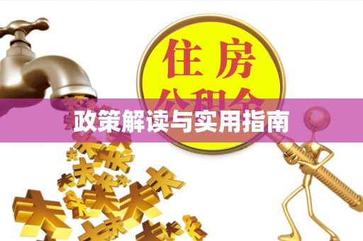 桑日政策解读与实用指南