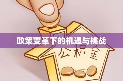 桑日政策变革下的机遇与挑战