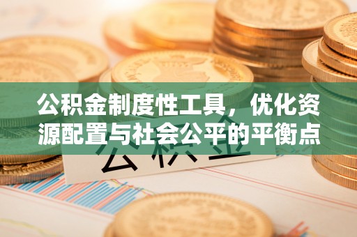 桑日公积金制度性工具，优化资源配置与社会公平的平衡点
