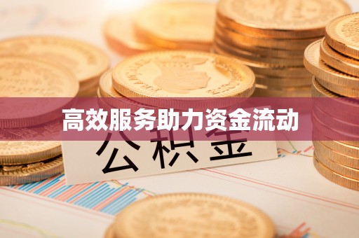 桑日高效服务助力资金流动