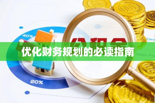 桑日优化财务规划的必读指南