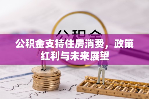 桑日公积金支持住房消费，政策红利与未来展望