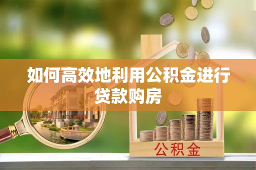桑日如何高效地利用公积金进行贷款购房