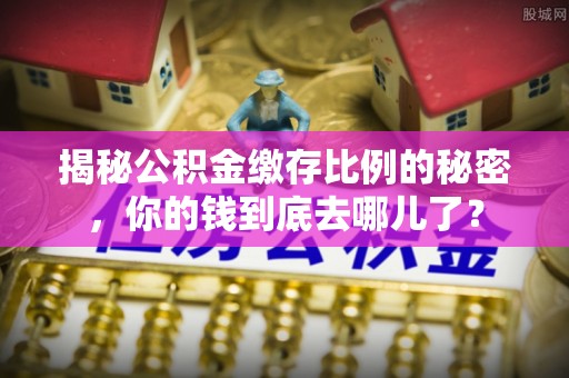 桑日揭秘公积金缴存比例的秘密，你的钱到底去哪儿了？