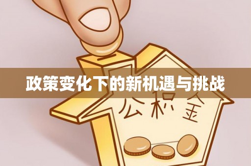 桑日政策变化下的新机遇与挑战